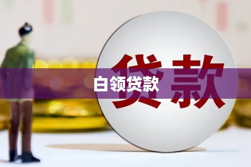 巴楚白领贷款