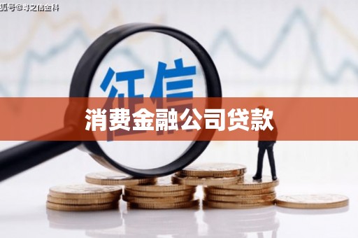 巴楚消费金融公司贷款