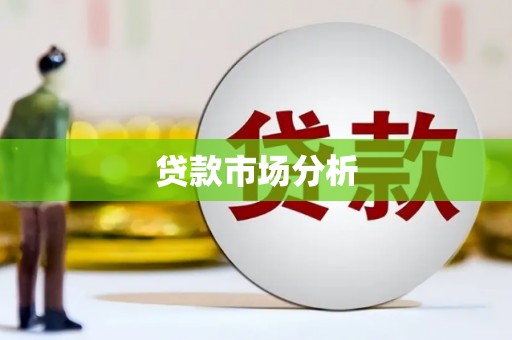 巴楚贷款市场分析