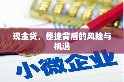 巴楚现金贷，便捷背后的风险与机遇