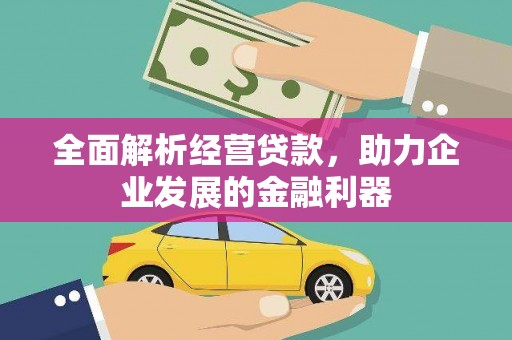 巴楚全面解析经营贷款，助力企业发展的金融利器