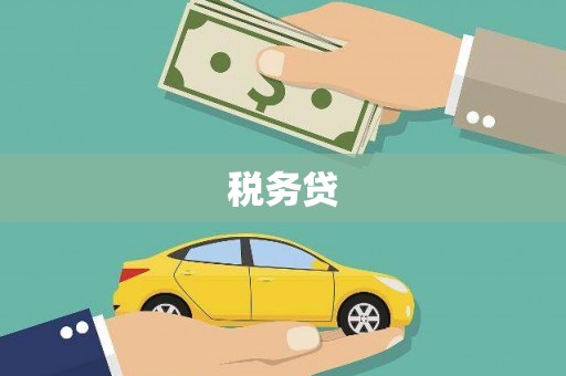 巴楚税务贷