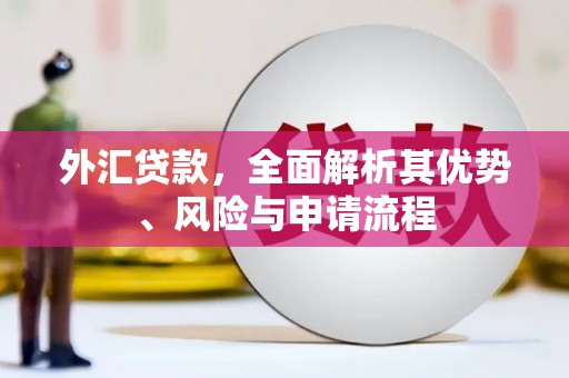 巴楚外汇贷款，全面解析其优势、风险与申请流程