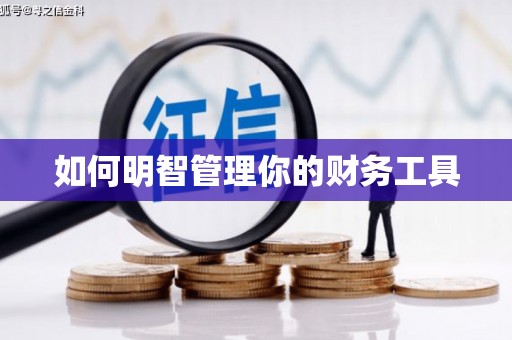 巴楚如何明智管理你的财务工具