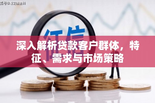 巴楚深入解析贷款客户群体，特征、需求与市场策略