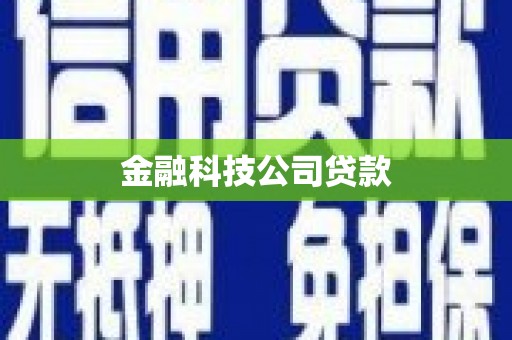 巴楚金融科技公司贷款