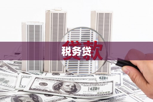 巴楚税务贷