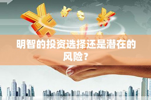 巴楚明智的投资选择还是潜在的风险？