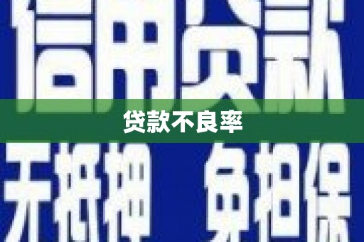 巴楚贷款不良率