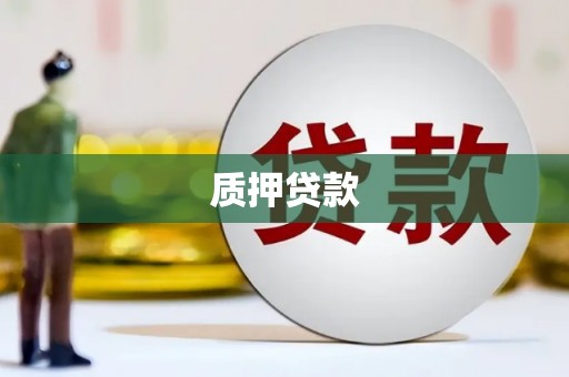 巴楚质押贷款