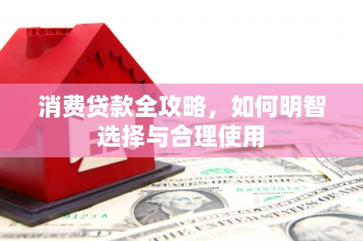 巴楚消费贷款全攻略，如何明智选择与合理使用