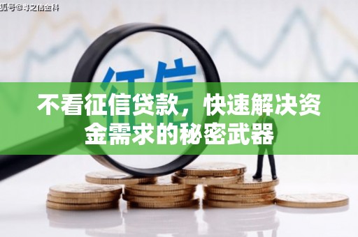 巴楚不看征信贷款，快速解决资金需求的秘密武器
