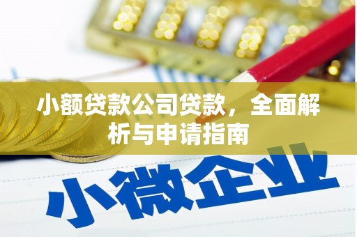 巴楚小额贷款公司贷款，全面解析与申请指南