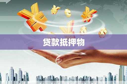 巴楚贷款抵押物