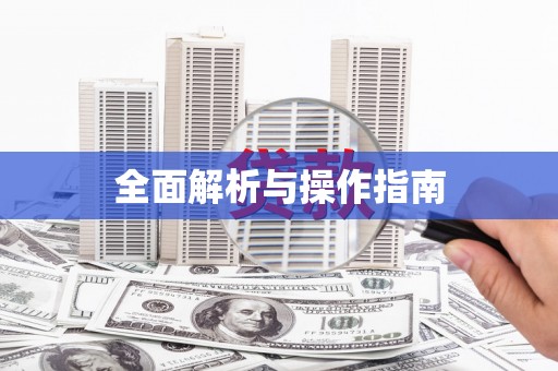 巴楚全面解析与操作指南