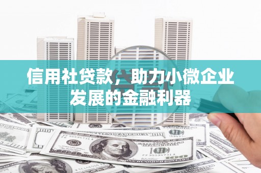 巴楚信用社贷款，助力小微企业发展的金融利器