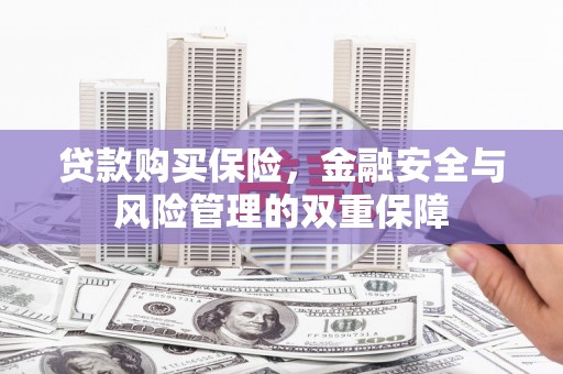 巴楚贷款购买保险，金融安全与风险管理的双重保障
