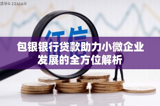 巴楚包银银行贷款助力小微企业发展的全方位解析