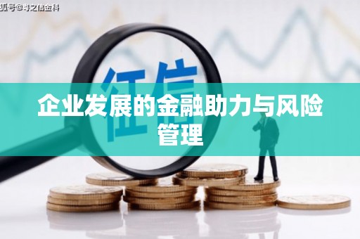巴楚企业发展的金融助力与风险管理