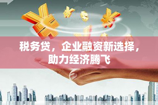 巴楚税务贷，企业融资新选择，助力经济腾飞