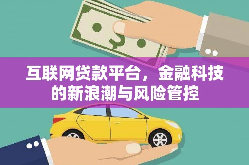 巴楚互联网贷款平台，金融科技的新浪潮与风险管控