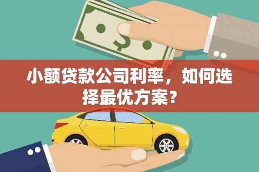 巴楚小额贷款公司利率，如何选择最优方案？