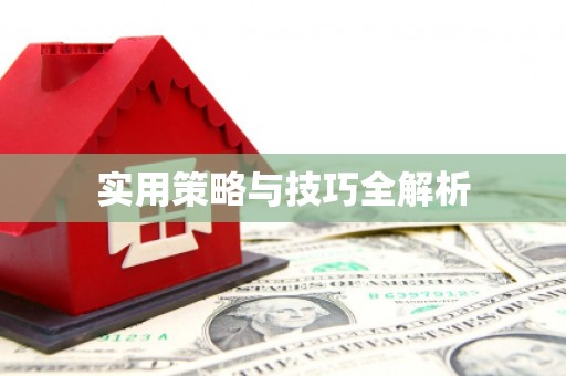巴楚实用策略与技巧全解析
