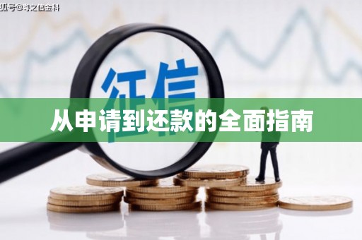 巴楚从申请到还款的全面指南