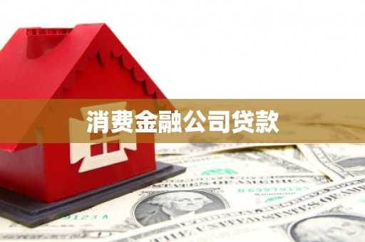 巴楚消费金融公司贷款
