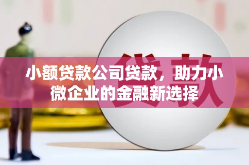 巴楚小额贷款公司贷款，助力小微企业的金融新选择