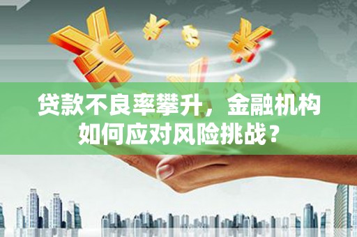 巴楚贷款不良率攀升，金融机构如何应对风险挑战？
