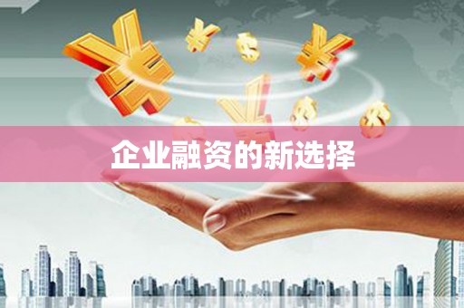 巴楚企业融资的新选择