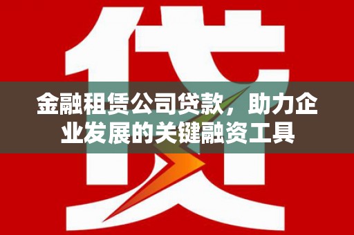巴楚金融租赁公司贷款，助力企业发展的关键融资工具