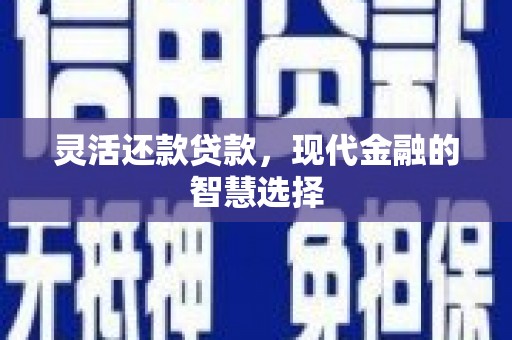 巴楚灵活还款贷款，现代金融的智慧选择
