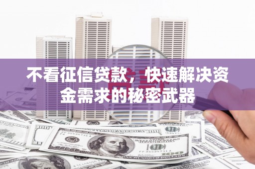 巴楚不看征信贷款，快速解决资金需求的秘密武器