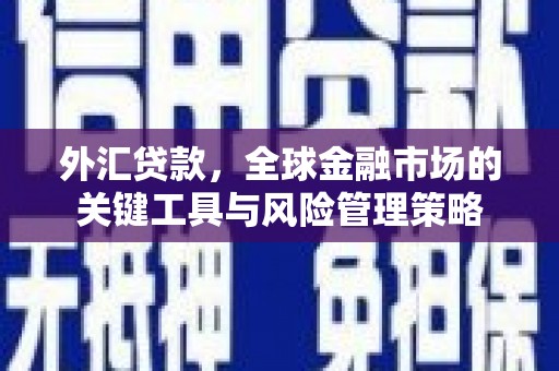 巴楚外汇贷款，全球金融市场的关键工具与风险管理策略