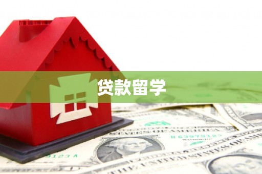 巴楚贷款留学