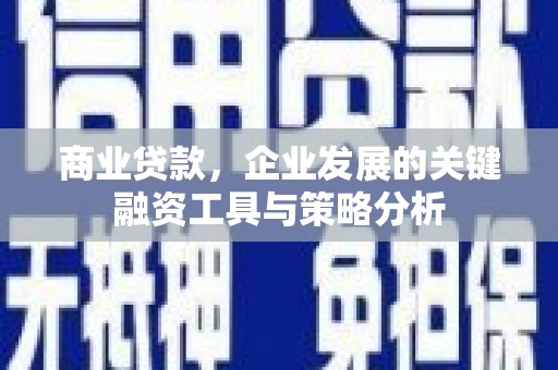 巴楚商业贷款，企业发展的关键融资工具与策略分析