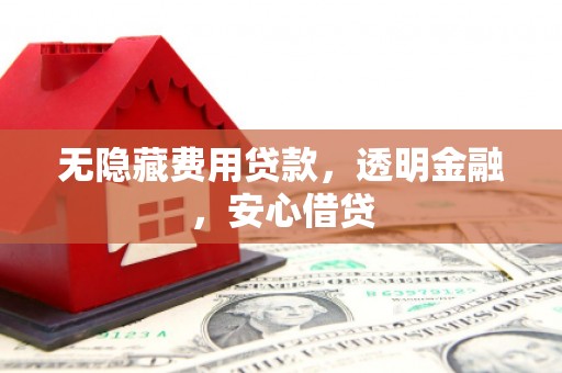 巴楚无隐藏费用贷款，透明金融，安心借贷