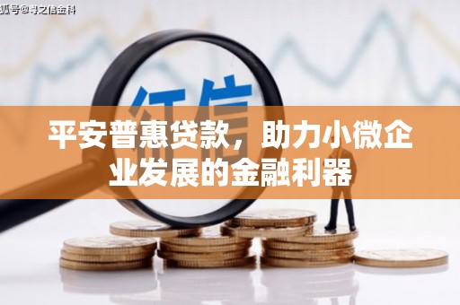 巴楚平安普惠贷款，助力小微企业发展的金融利器
