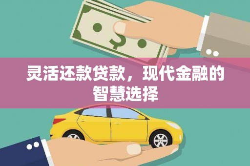 巴楚灵活还款贷款，现代金融的智慧选择