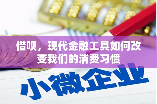 巴楚借呗，现代金融工具如何改变我们的消费习惯