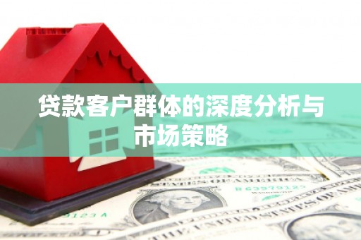 巴楚贷款客户群体的深度分析与市场策略