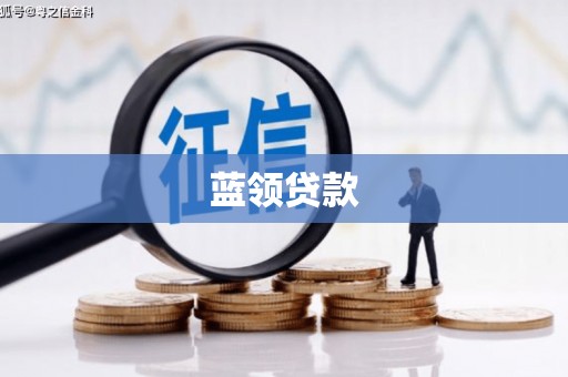 巴楚蓝领贷款