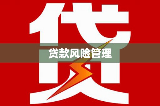 巴楚贷款风险管理