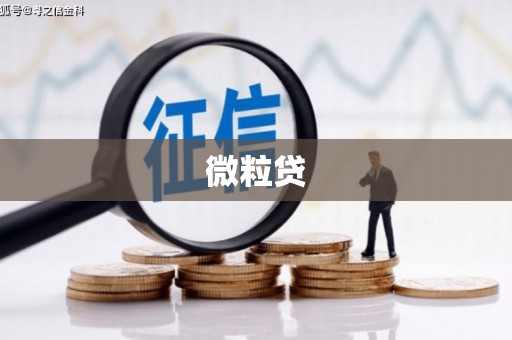 巴楚微粒贷