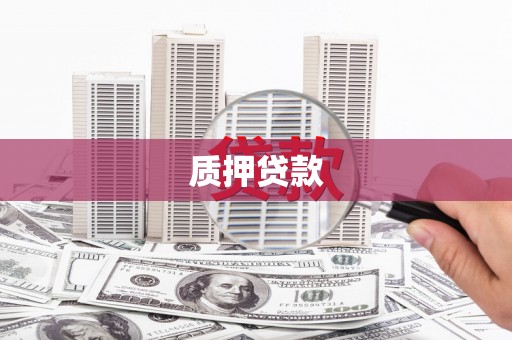 巴楚质押贷款