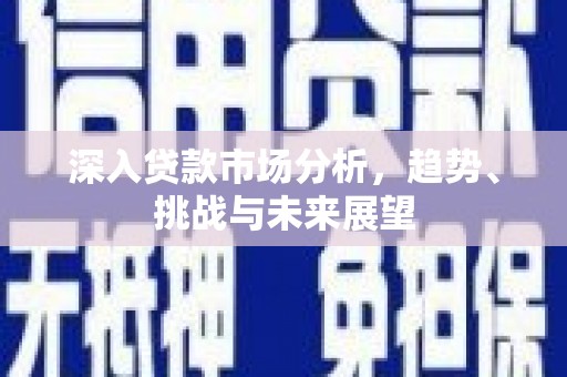 巴楚深入贷款市场分析，趋势、挑战与未来展望