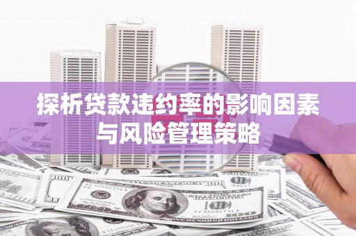巴楚探析贷款违约率的影响因素与风险管理策略