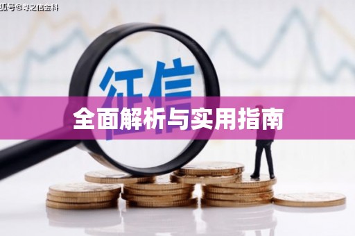 巴楚全面解析与实用指南